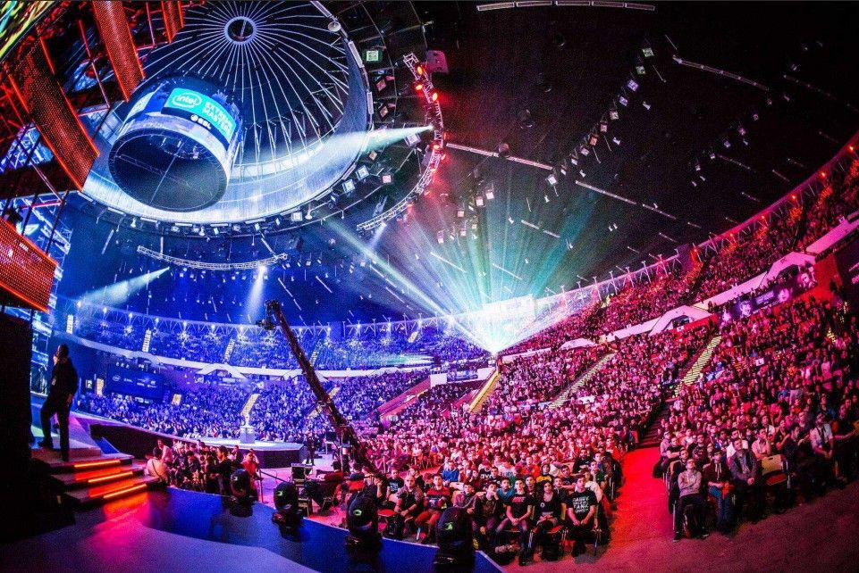 仅考验参与 仅考验参与