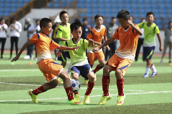 国际顶级赛 国际顶级赛